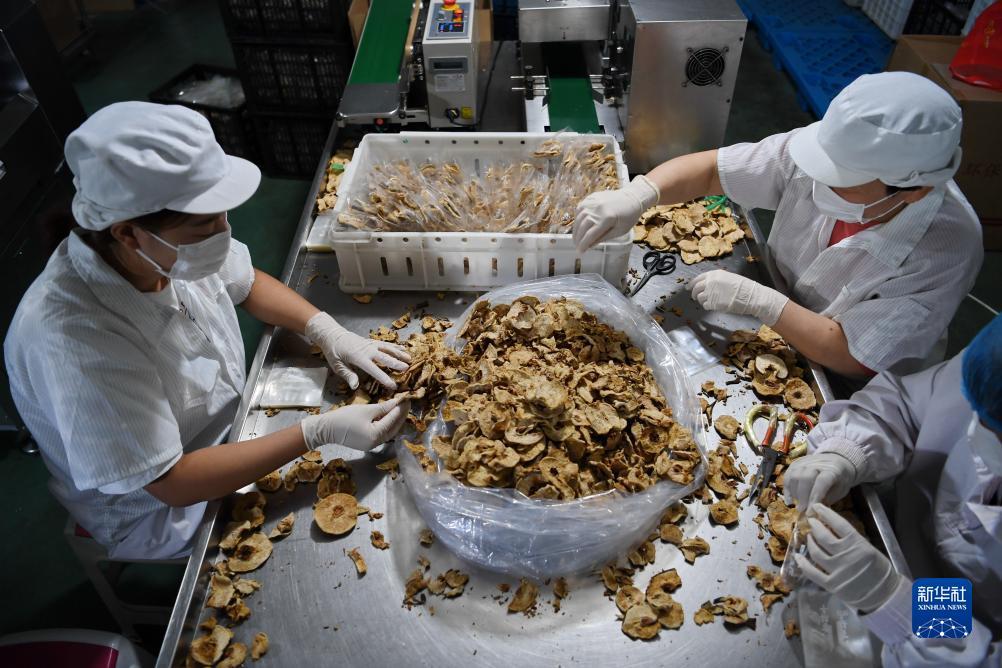 下载新赌场
